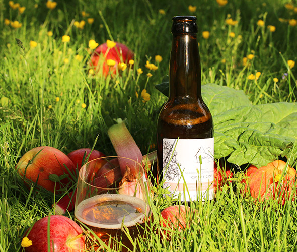 Produktfoto vom Cider Vinegar | Witch House by Georg Miggitsch